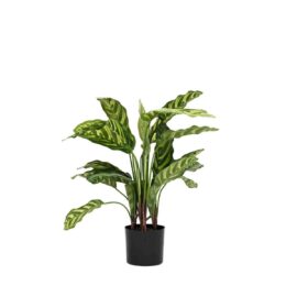 Plantes artificielle chez Floralies Tunisie