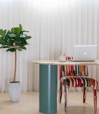 plantes d'intérieur chez floralies Tunisie