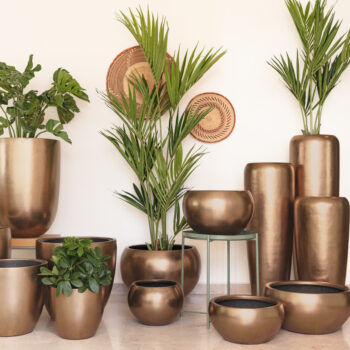 Kentia artificiel – Image 9