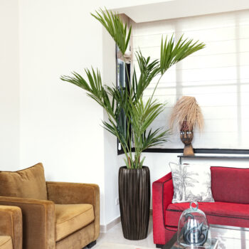 Kentia artificiel – Image 4