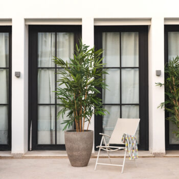 N Bambou Gros Tronc – Image 7