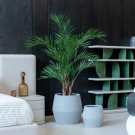 Palmier tropical H 170cm