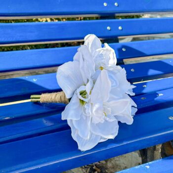 Bouquet Amaryllis