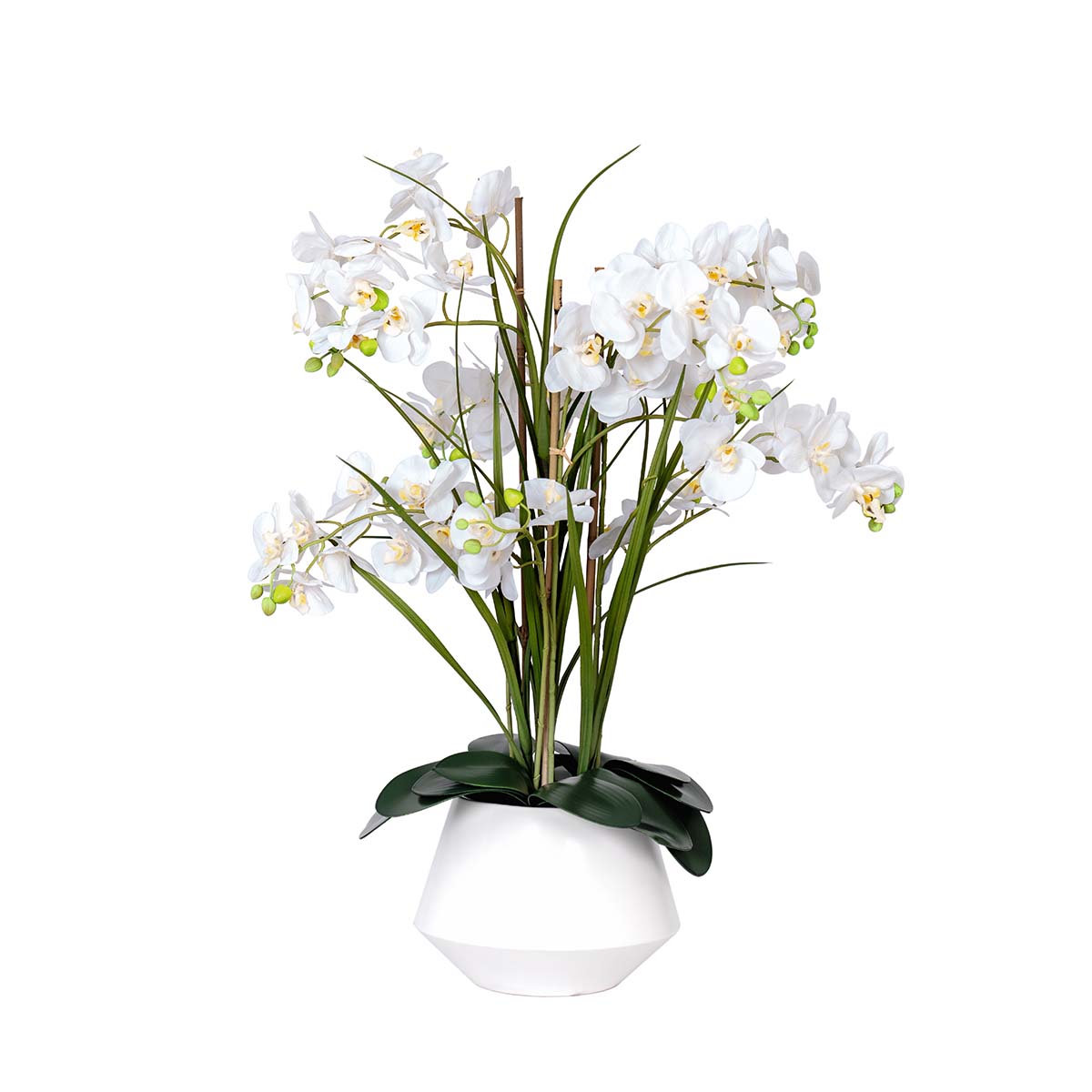 Orchidée Rebelle artificielle en pot blanc H 80 cm