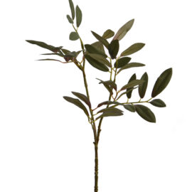 Olive Leaf Pick grey