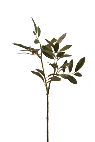 Olive Leaf Pick grey