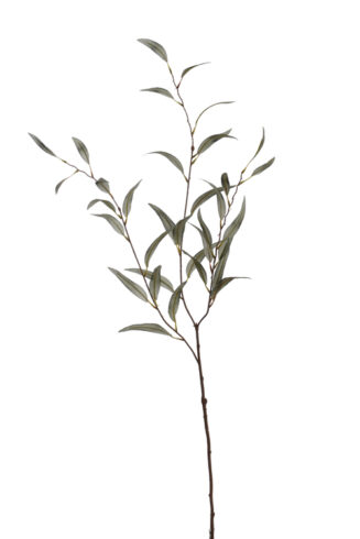 Medium willow Spray Grey