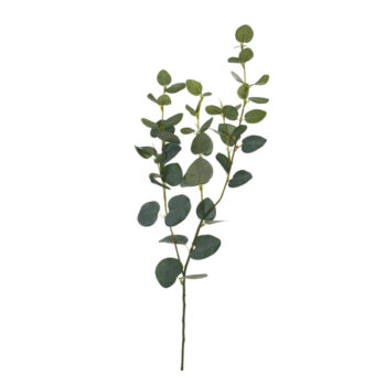Medium Eucalyptus Spray Green