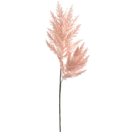 Plume Pink