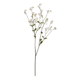 large gypsophile spray cream