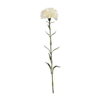 Carnation Cream H70cm