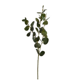 Eucalyptus Green H77cm