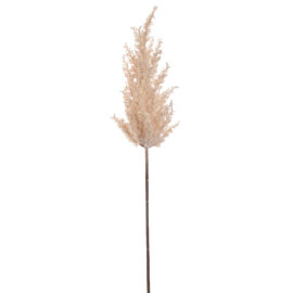 Pampas Grass Beige H72cm