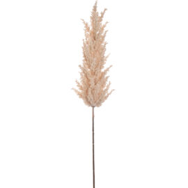 Pampas Grass Beige H82cm