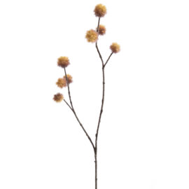 Chestnut Brown H95cm
