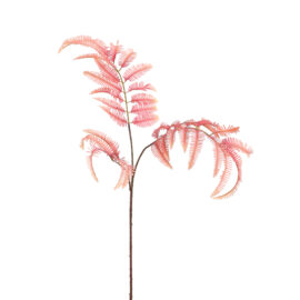 arista leaf pink H110cm