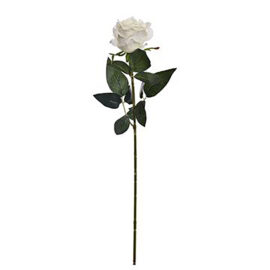 Rose Bud Cream H96cm