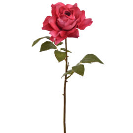 Open Rose Beauty H52cm
