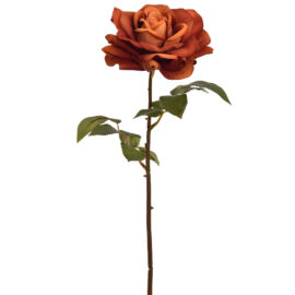 Velvet Open Rose Brown H52cm