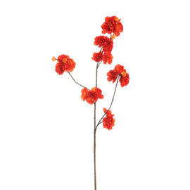 Small Kanzan Blossom Flame H85cm