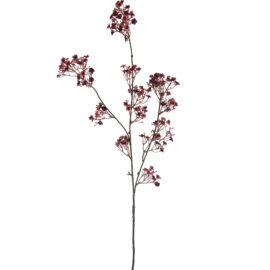 Large Gypsophile Burgundy H106cm