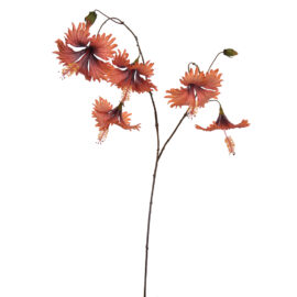 Hibiscus Hanging Orange H110cm