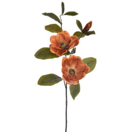 Magnolias Orange H83cm