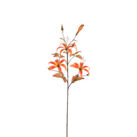 Slim Lily Orange H97cm