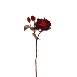 Open Rose Velvet Red H60cm