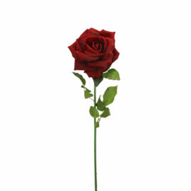 Single Velvet Rose H72cm