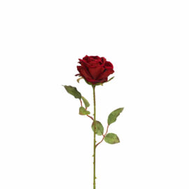 Single Velvet Rose H60cm