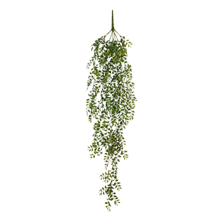 Sitemapcdatahttpsshopinf Inetcomfausses Plantes Tombantes