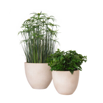 Pot lotus sandy beige