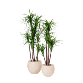 pot sphérique sandy beige