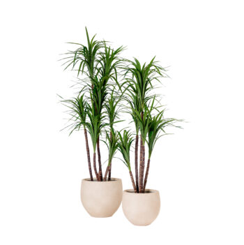pot sphérique sandy beige