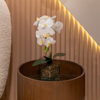 Orchidée blanche à 1 hampe H 47cm