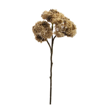 berry vanille H 45cm