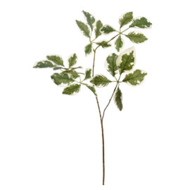 Leaf green H 15cm