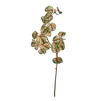 Leaf green red H 77cm