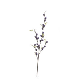 Thistle purple H 90cm