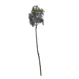 Hyrdrengea blue H 78cm