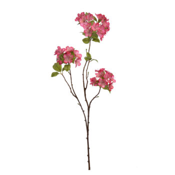 Blossom beauty H 75cm