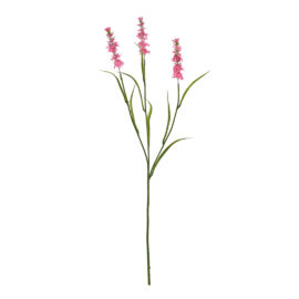 Lavander pink H 65cm