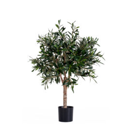 Olivier Mini H 60cm / 85cm