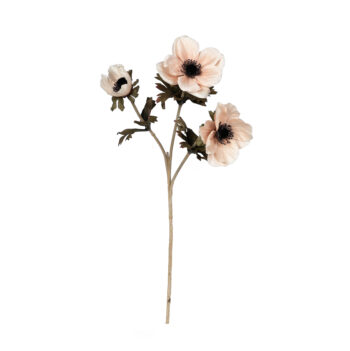 Anemone cream H 56cm