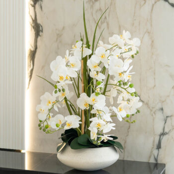 Orchidée à 12 hampes H 86cm – Image 2