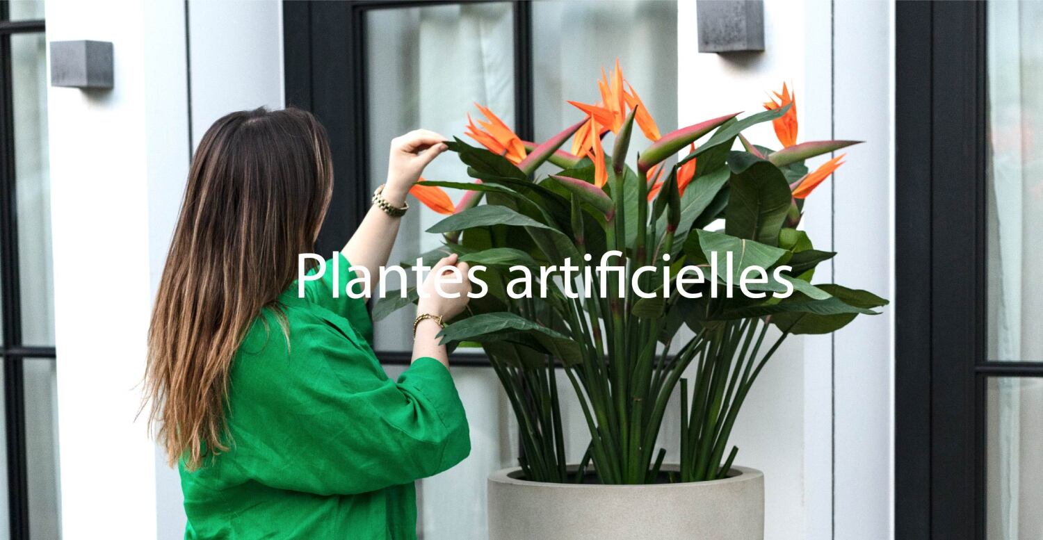 mobile 1