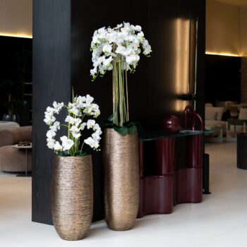 Orchidée à 12 hampes H 86cm – Image 4