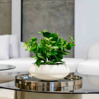 composition IVY green H 38cm