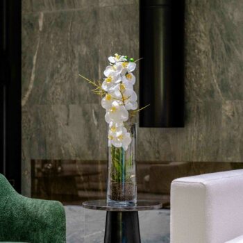 Composition orchidée élancée H 50cm